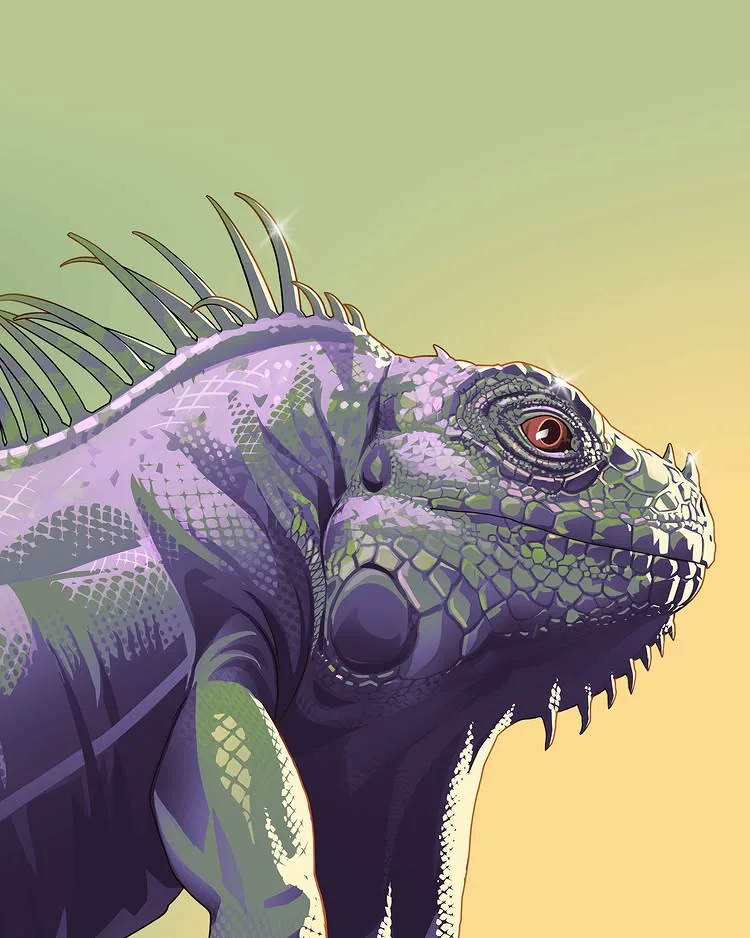 Iguane dans l’artwork partagé par Keith Richards