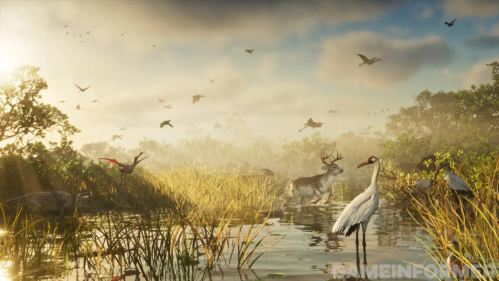 Faune des Grassrivers au lever du jour : grue, cerf, alligator et oiseaux en vol