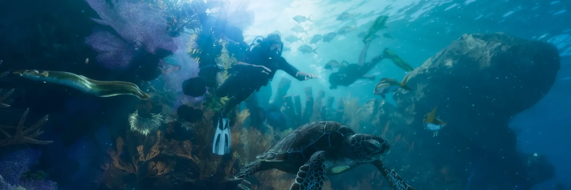Plongée sous-marine parmi les coraux et une tortue dans GTA6