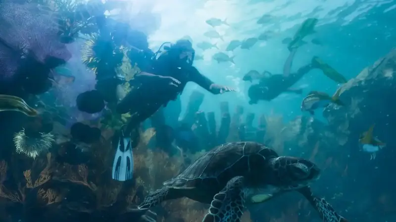 Plongeurs et tortue de mer dans les fonds marins de GTA6